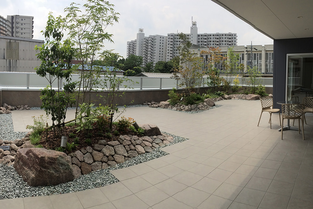 門造園土木 施工事例 社屋屋上緑化