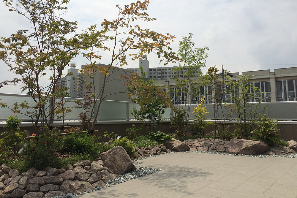 門造園土木 施工事例 社屋屋上緑化