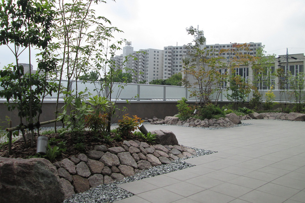 門造園土木 施工事例 社屋屋上緑化